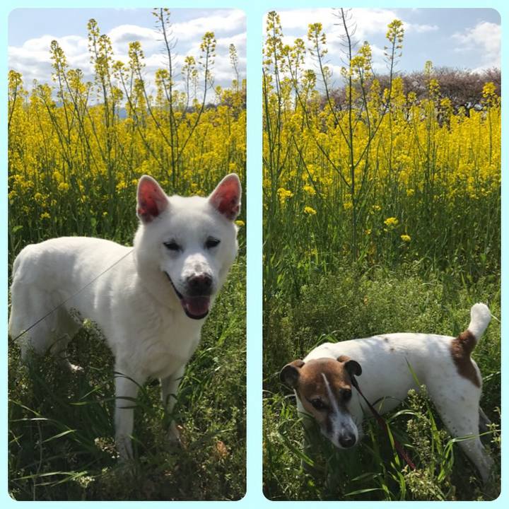 A0f397d6 5fba 48a8 967f a1587b92b0d2