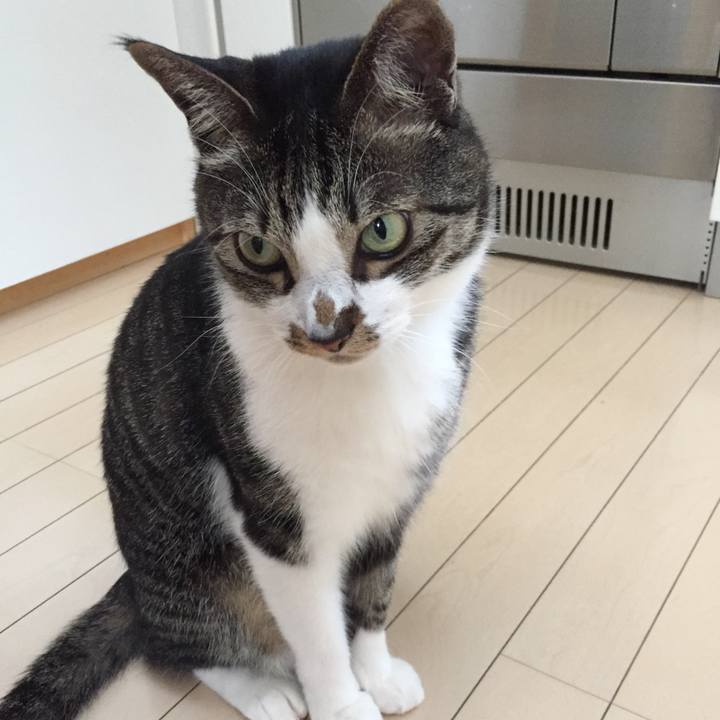 A0f3ce3d 9400 4107 aa5e f0bc5635e096