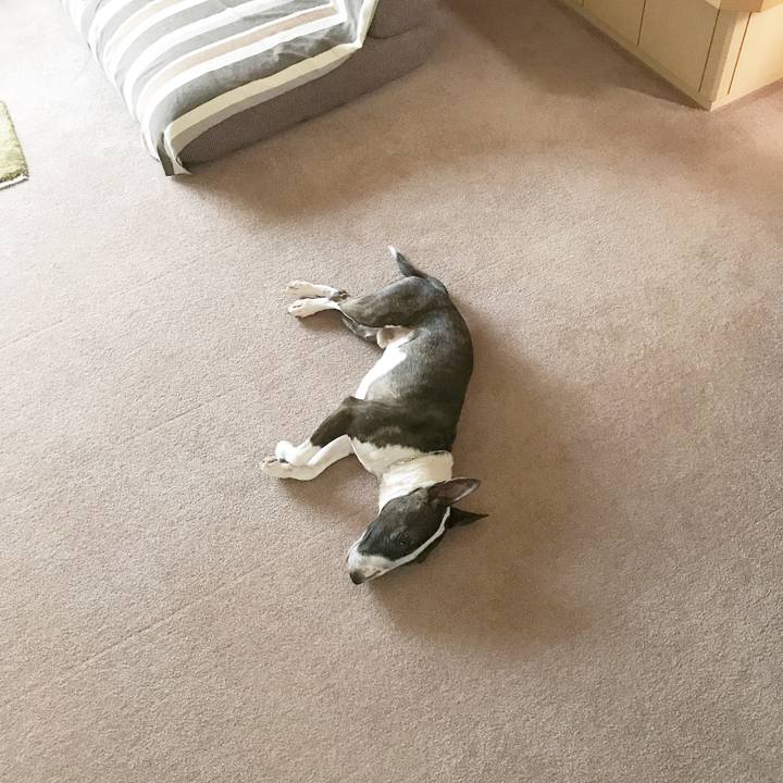 A0f3ed95 b38a 4a11 bb74 b0e2277a6570