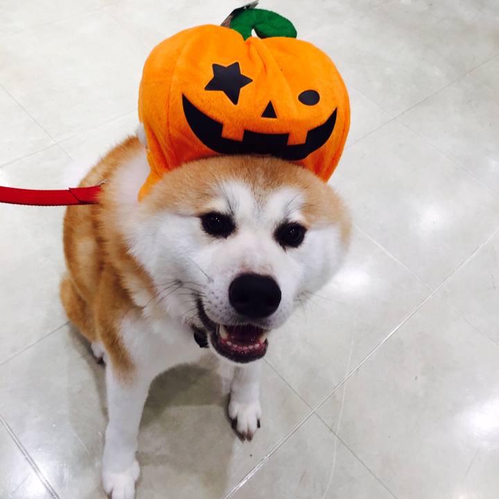 A0f3f880 2106 42e6 ba73 96259e9df595