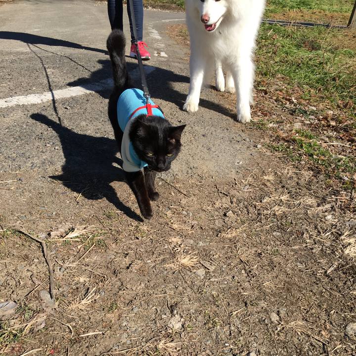 A0f3fb79 40be 44c4 9227 5f1e48a71883