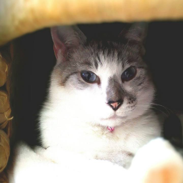 A0f42d1d c2cb 497e a164 e666d6f9fdcd