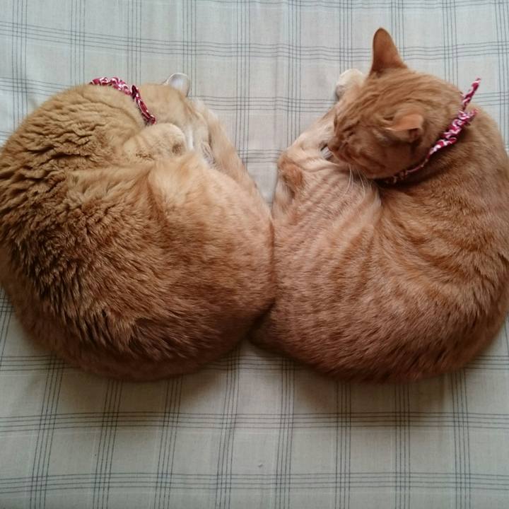 A0f43ad7 a005 418e 9a3b 5a4a9b2d7831