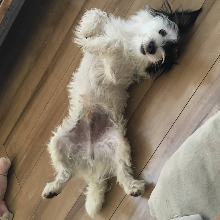 A0f4a2b1 c4cf 4900 877b 10efa2bf659d