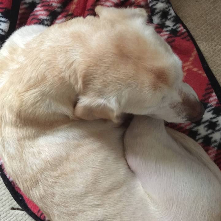 A0f4a312 4e54 4e25 9e95 1567c793f813