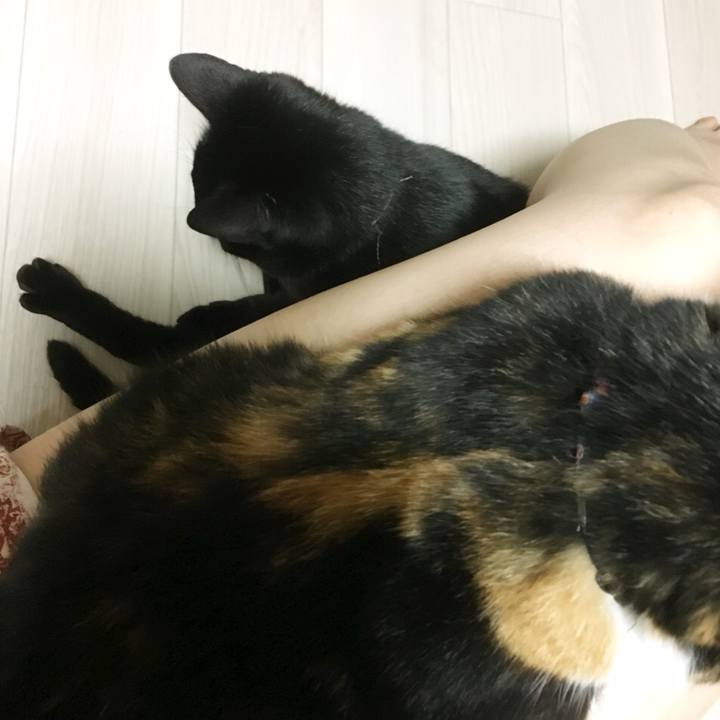 A0f4ea62 2c58 475c 900e 9c5fc19c9b44