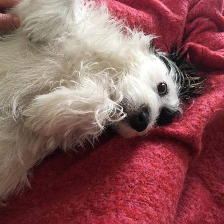 A0f5278b 253e 4714 9b1b a4207ea97488