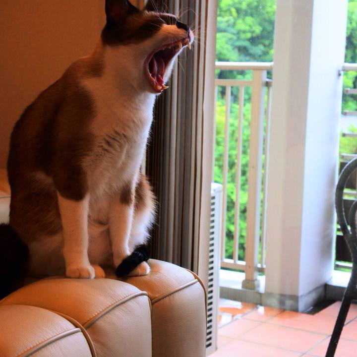 A0f54ae5 5620 474f 9315 ca05d83f646e