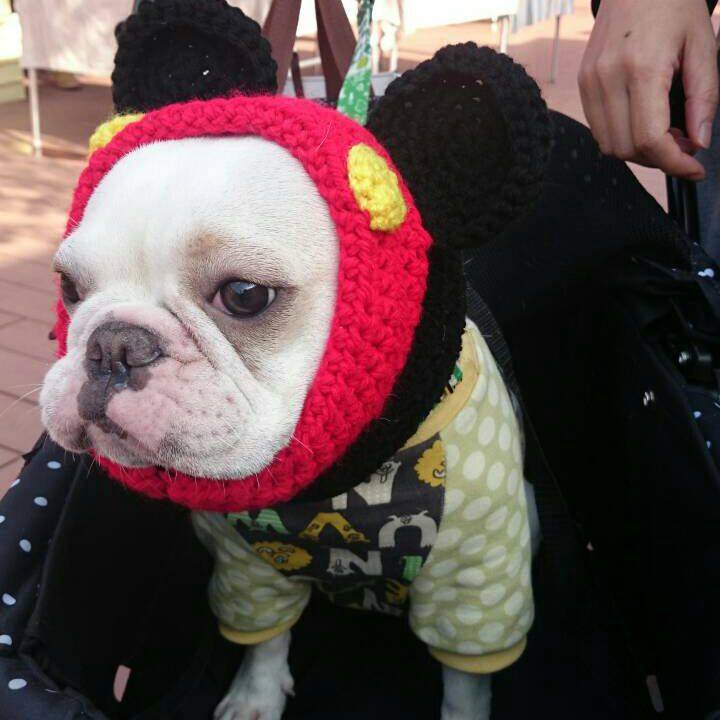 A0f5af34 c69a 493e 808b 222851bf84ac