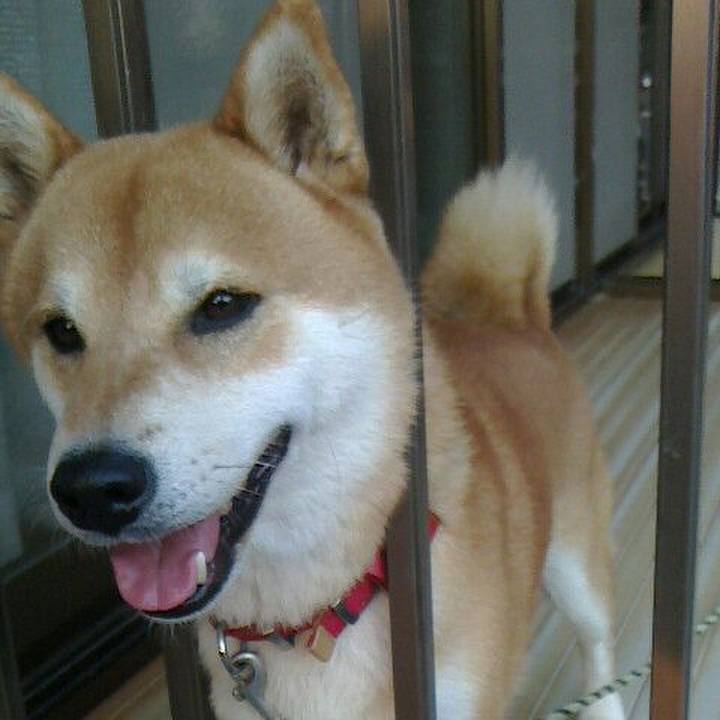 A0f681f1 5d70 499a a01f db8e57261d46