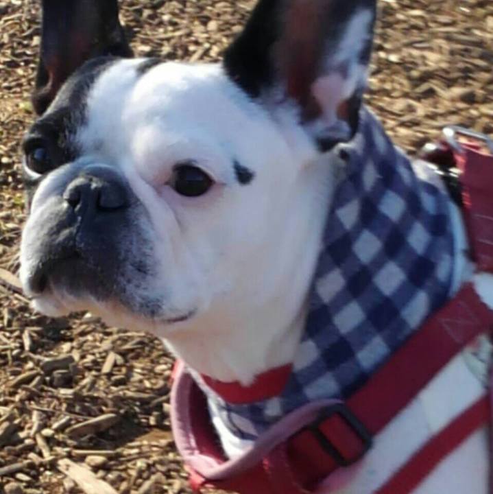 A0f6a0e3 4fd1 4e91 9906 14eca75e2b96