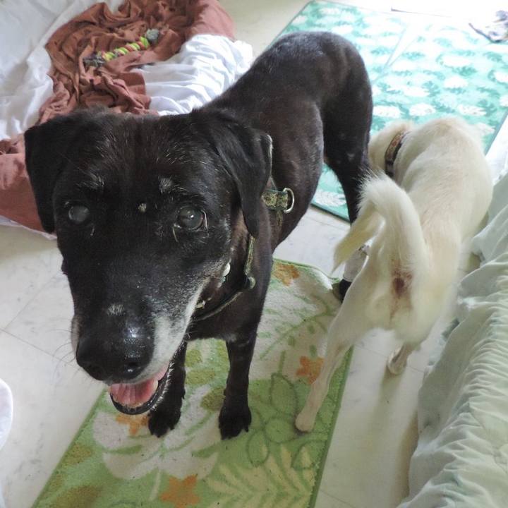 A0f6c61a 8f2e 4a4c a0f3 4eacd22f8f13