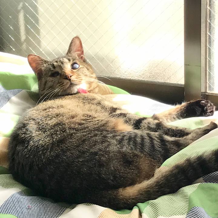 A0f79226 7423 4c07 ad1d 547b69db4011