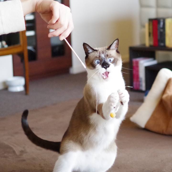 A0f7adfb 7fa6 4dd8 9c10 96547cc53765