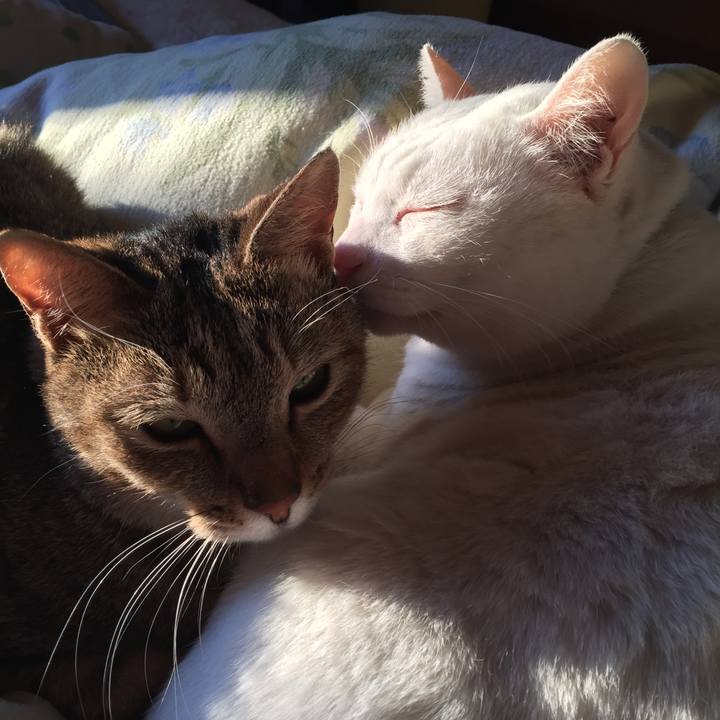 A0f9eae6 196c 41e8 9397 a1c7b094d2f6