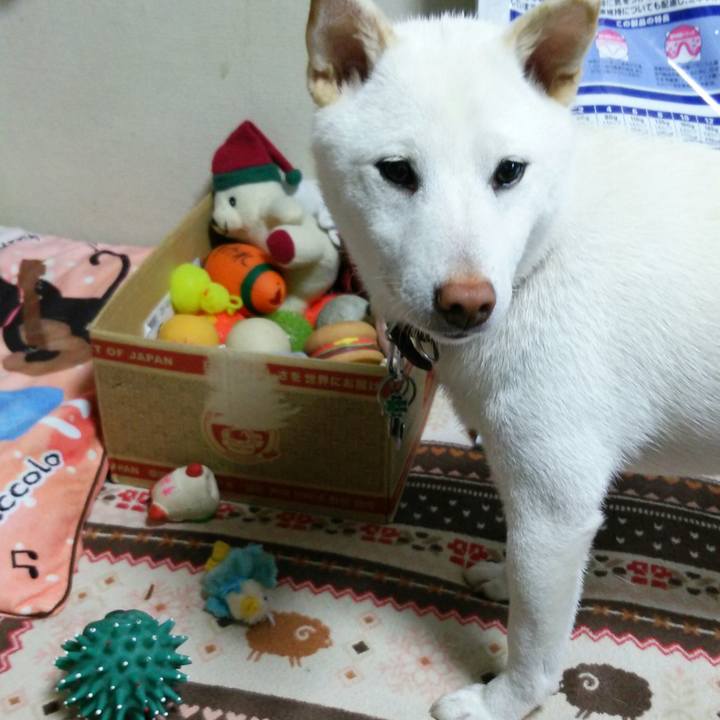 A0faf860 56f2 4258 a80f 197024d1a5e6