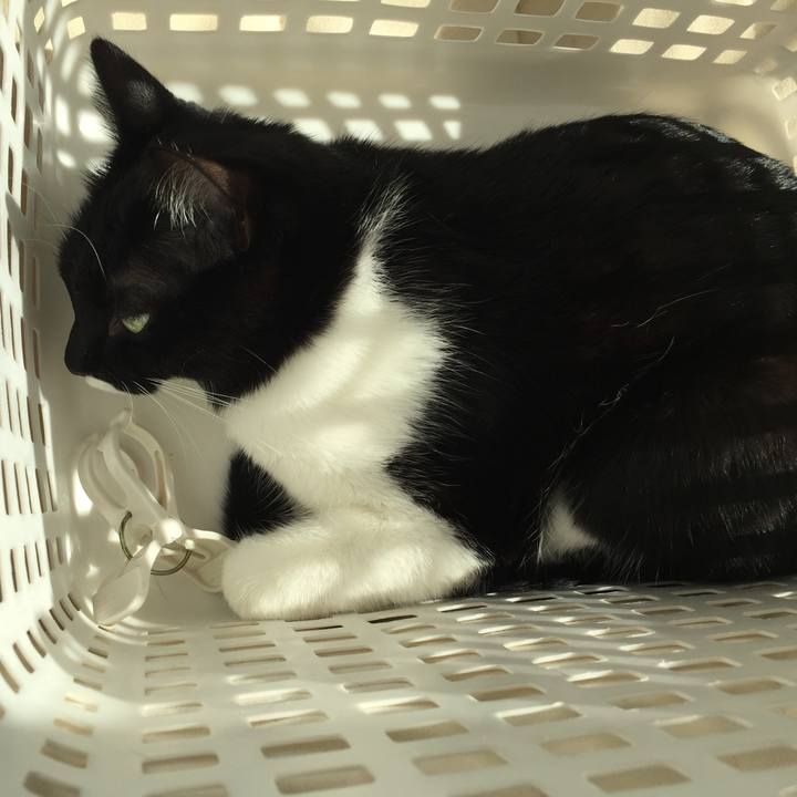 A0fb3cae a609 4b9e a8a4 59c0a956f4be