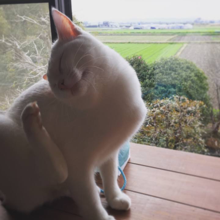 A0fb490b 2424 4a4a 9a12 779385e54ef9