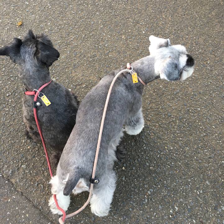 A0fb4f94 c5ff 424a 9edf b00dab4a4bae