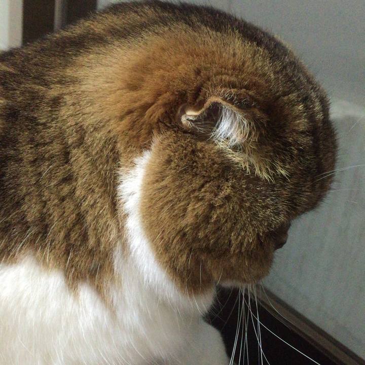 A0fbe443 cf3c 490f 939f 2abaa9d7dffe