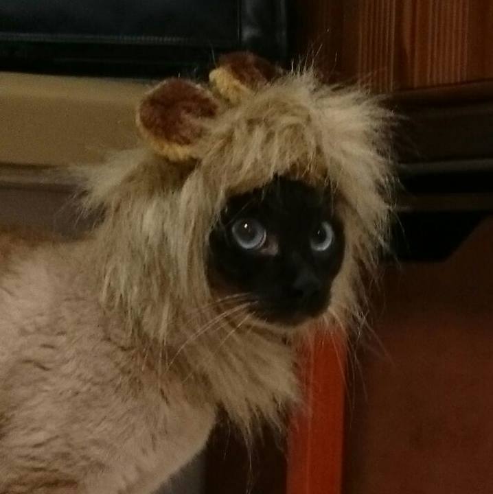 A0fc26a5 d39c 4e93 b566 413bce7fc0b0