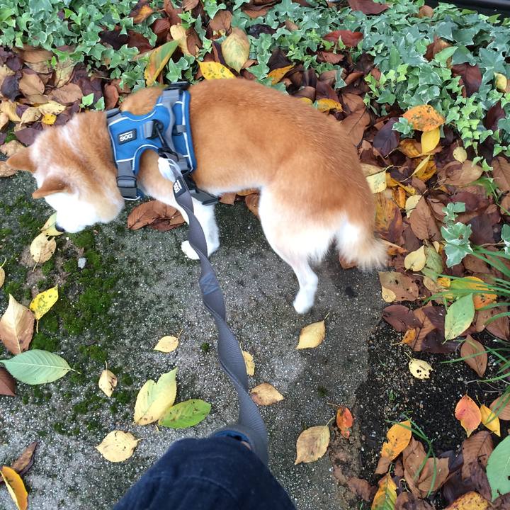 A0fc279c 2988 4824 a67d d4359173418d