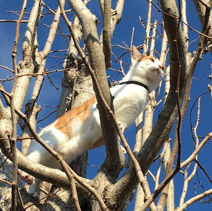 A0fdcca2 312b 41d2 8fdf 21f06a87daed