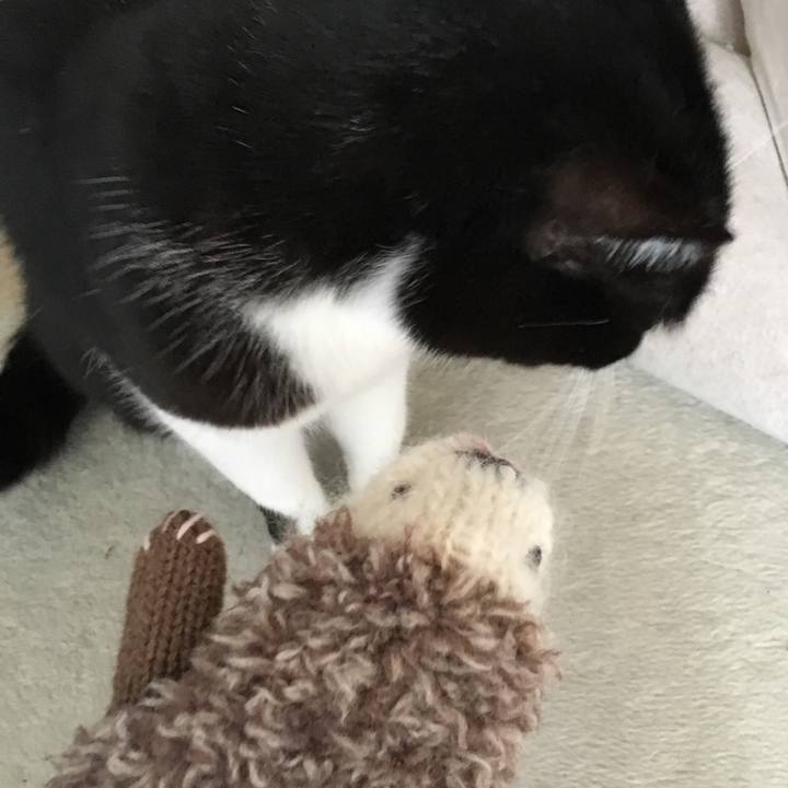 A0fe9c84 752e 4feb 9b10 af5ff6ba6a60