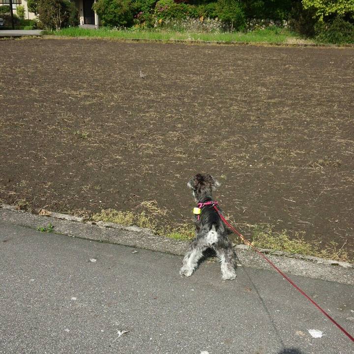 A0feb7a9 448b 439b 8ac4 8f9a4e3aeeec