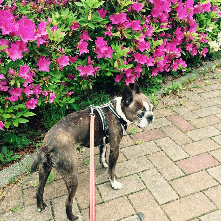 A0ffd4b4 dafe 43f3 b45a bc9eb6efe8d5