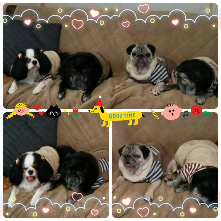 A10032f2 b991 4667 b23b c7979b36b797