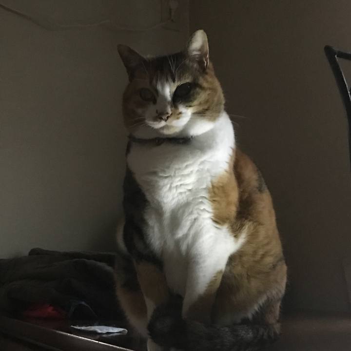 A1008f0a e9e5 4a30 9888 ecdb36a3d45f