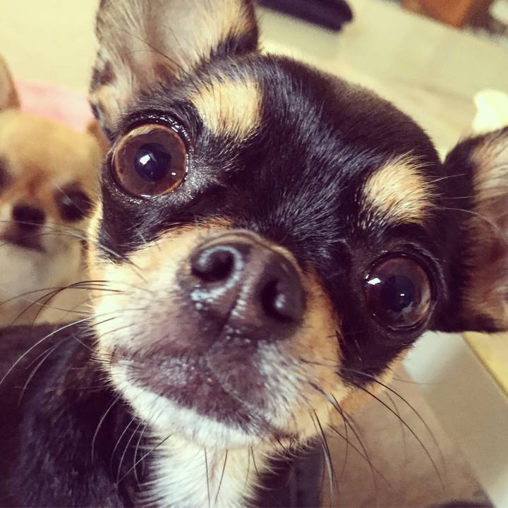 A100c162 3ca2 492d a0c2 0da7645b0bd1