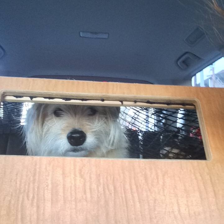 A10164bb 0498 4021 b500 8098dc35217d