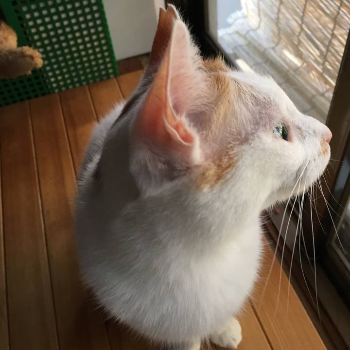 A10210f0 98b6 44f9 8227 e8b25ef18452