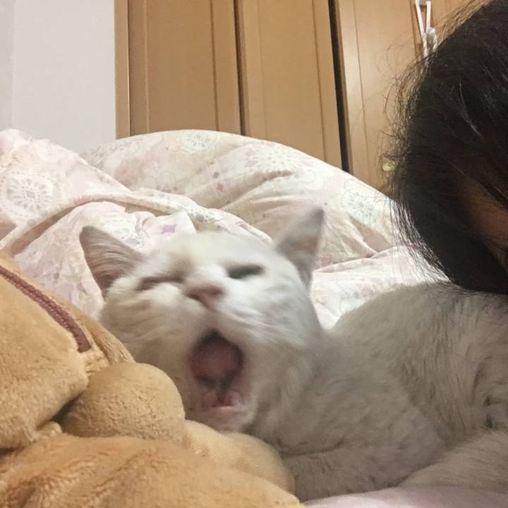 A103d32c 2e6e 4713 b14f cf2a73c8cd31