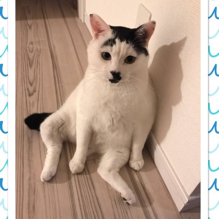 A1043785 e43b 4789 b8e6 796e89a4cd65