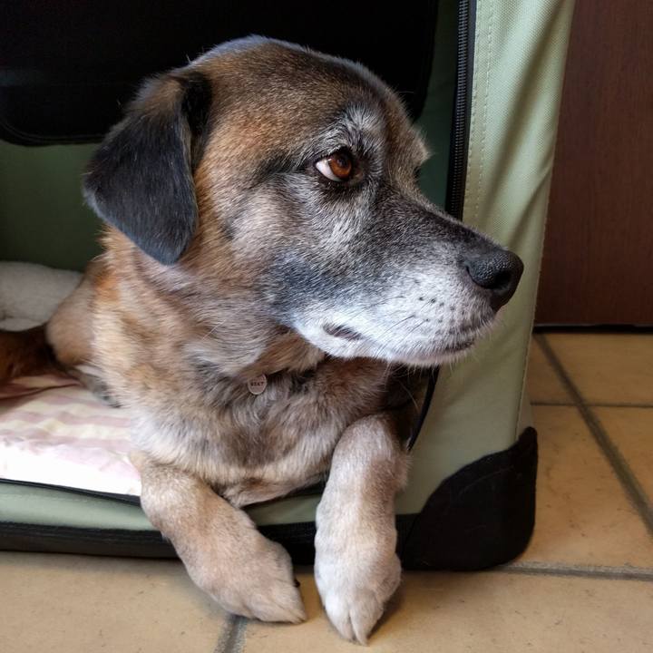 A1044933 9749 42d4 aa95 ba8108710231