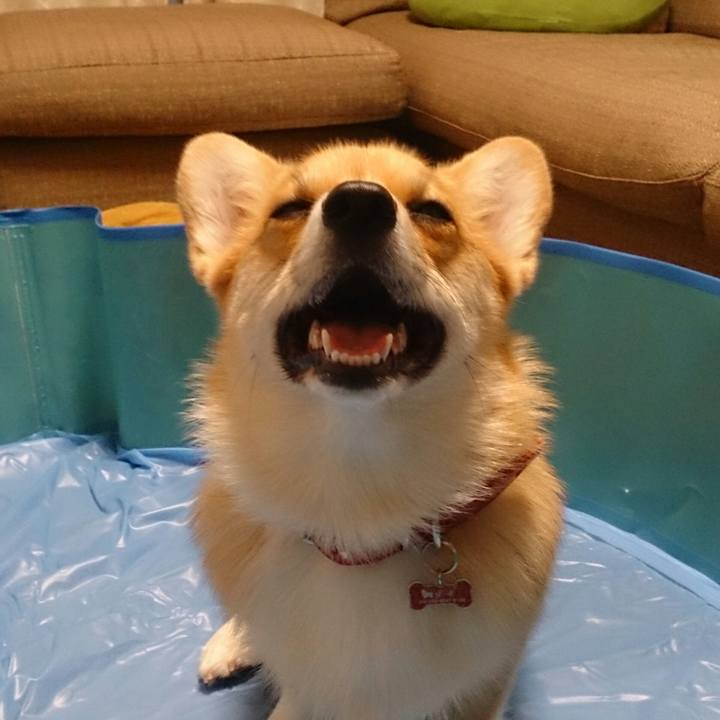 A1047074 e65e 40e7 9378 27537fa09feb