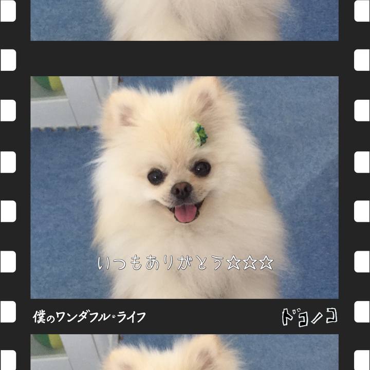 A104a9f1 f40a 4fb9 a793 660d6e6cb925