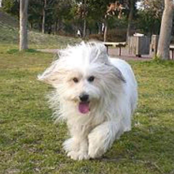 A105062c 41b8 4d58 8592 d41cda59a814