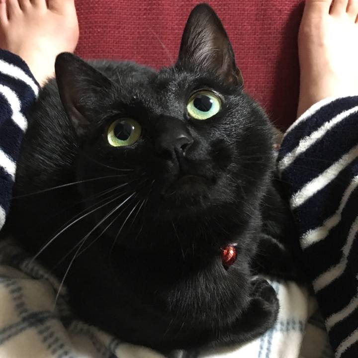 A105f0d7 cb25 4455 bce8 d808aa20f7ce