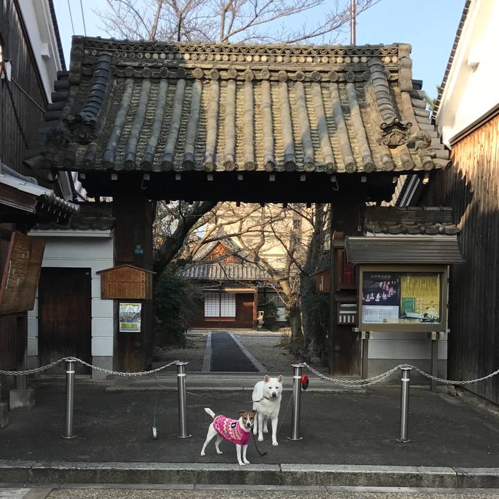 A10658bc aae0 4580 b95d b784cf1c5a0a