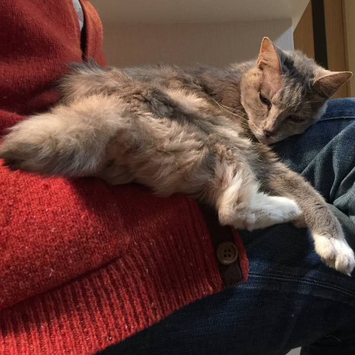 A106808b c0ae 44b8 a1b5 ae9571020bae