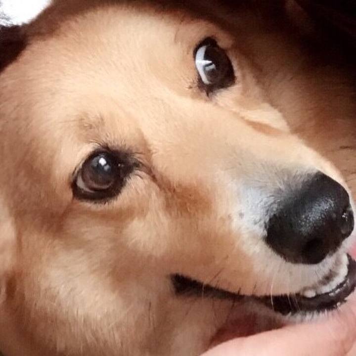 A107468c 3a47 4fc2 8594 73032304456b