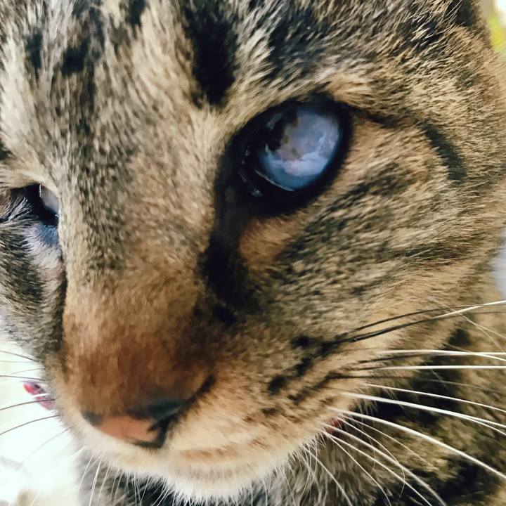 A10772c8 ed6f 483a b308 46e6cda98ec1