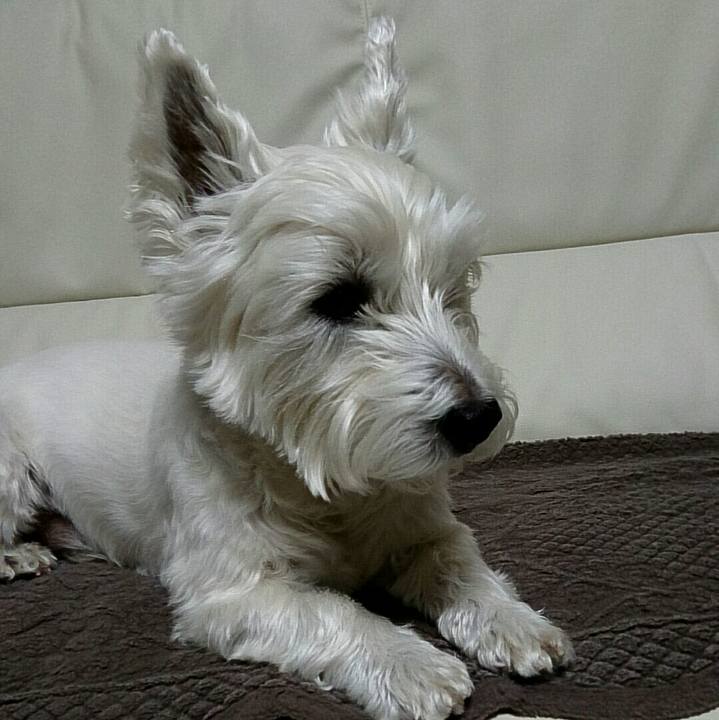 A10804e6 bd2f 41c6 87e1 24a121375050