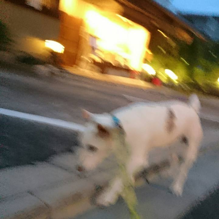 A1081d6f 1bcd 4095 8f00 4110f0e12136