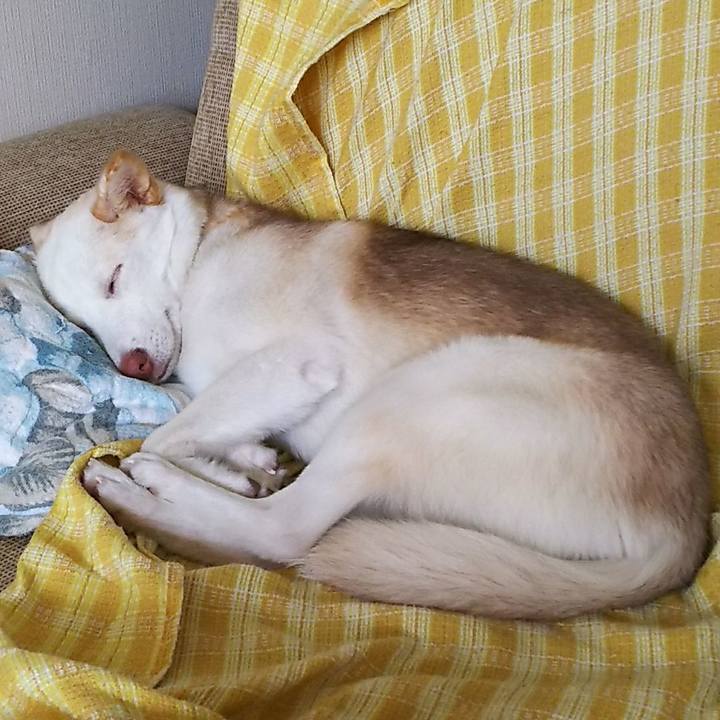 A1085147 0f81 46cb b384 f58e9a154c20