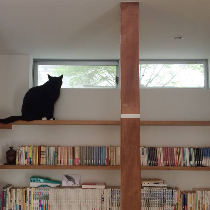 A1088a79 3b88 4fe5 bd1e dbc1e1501359